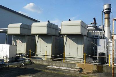 Image of Co-generation