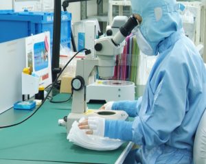 Photo of a staff member using a microscope